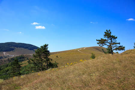 mountain landscape