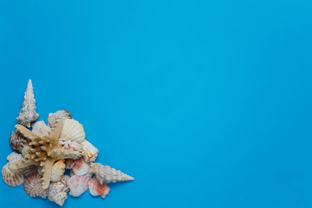 Exotic Seashell Pile Tropical Composition Flat Lay. Beautiful Ocean Nature Decoration Marine...