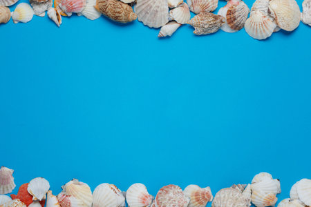 Exotic Seashell Frame Ocean Coast Scene Design. Nice Natural Marine Conch Decoration Upper Bottom...