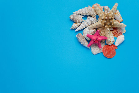 Exotic Seashell Pile Tropical Composition Flat Lay. Beautiful Ocean Nature Decoration Marine Collection. Beach Conch Scene Holiday Concept Blue Background Top Right Corner Copy Spaceの写真素材