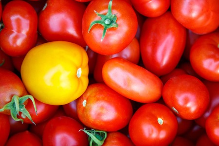 beautiful ripe tomatoes background. concept of healthy eating