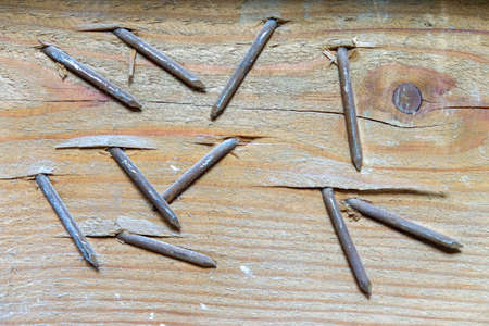old rusty nail looks out of an old wooden beam.の写真素材
