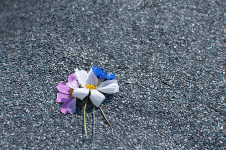 some little flowers lies on the pavement.の写真素材