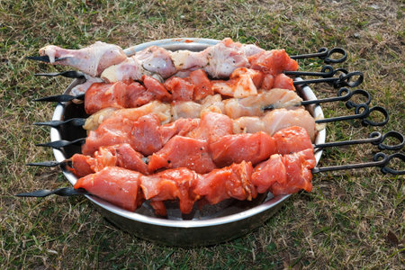 Raw pork skewers and chicken thighs, cut into pieces. meat on grill skewers. outdoor cooking on a picnic trip.の写真素材