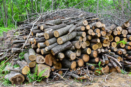A pile of stacked firewood, prepared for heating the house, chopped on a stack and prepared for winter Pile of wood logs.の写真素材