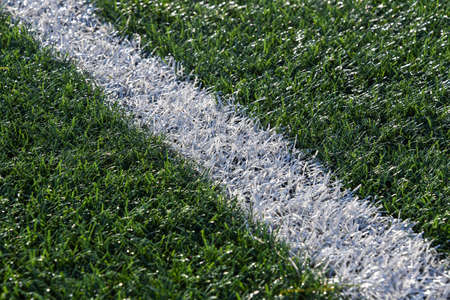 White line on the grass of sporting stadium.