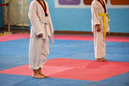 Taekwondo kids. Two boys athletes stands in a taekwondo uniform with a white and yellow belts during a taekwondo tournament.の写真素材