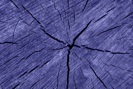 Abstract texture of a cracked tree, texture heartwood background. Wood texture for background. photo toned in the color of the year very periの写真素材