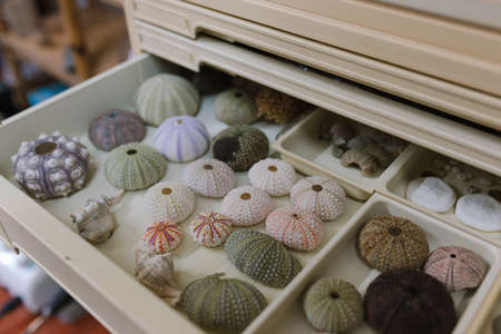 Wardrobe where you can store gems, stones, ornaments and accessories to make jewelery and costume...