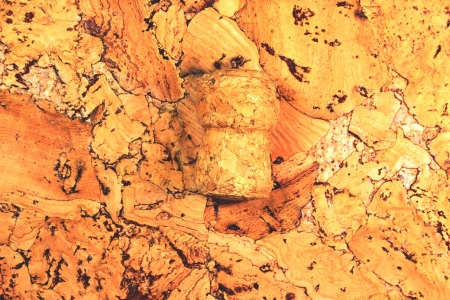 wine stopperの写真素材