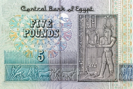 5  five pound bill of Egypt, green pattern, detailの写真素材
