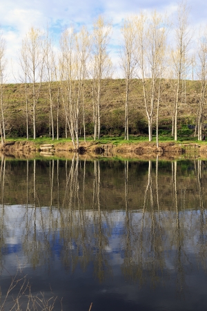 river Ter, reflections of the trees in its path by Roda, Catalonia, Spainの写真素材