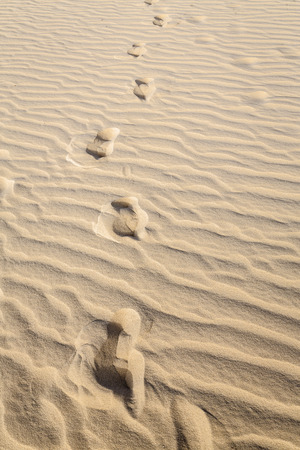 Beautiful sand patterns in the Sahara Desert, Tunisia, Africa.の写真素材
