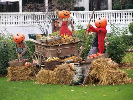 Halloweenの写真素材