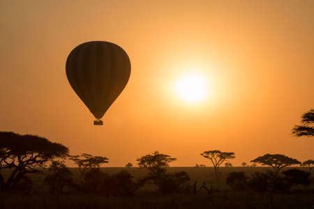 Balloon ride at sunrise, at Serengeti National Park, Tanzania.の写真素材