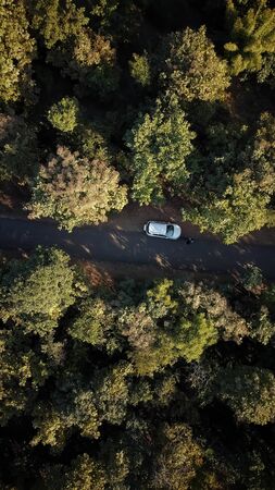 Drone shot of people in between trees wandering around the countryside.の写真素材