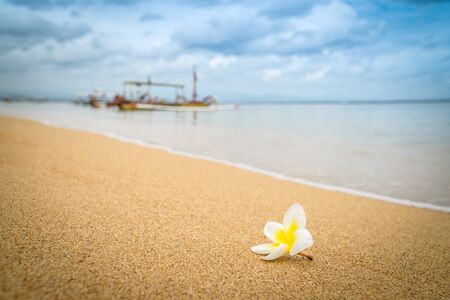 Plumeria or frangipani flower on a beach sand with boat on a background. Vacation beach relax conceptの写真素材
