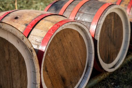 Old wine oak barrels drying in the sun.Winemaking industry concept