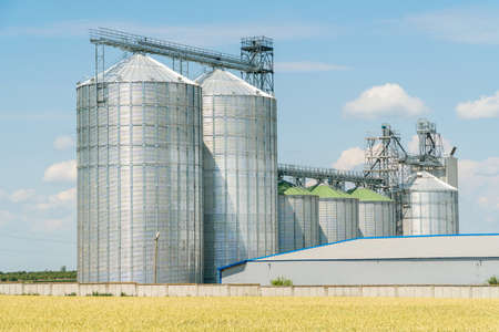 Modern grain elevator in a green wheat field. Agriculture crops storage conceptの写真素材