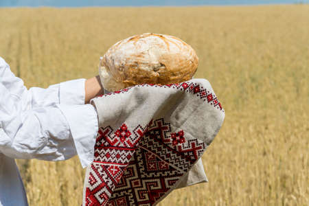 Female hands holding home baked bread loaf above her head over a blue summer sky in a wheat field. Hospitality and food supply concept.の写真素材