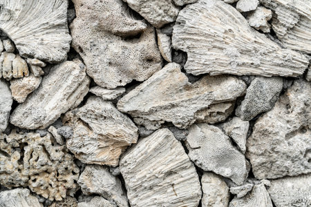 Background wall build from and decorated with seastones, ocean sand and coral remains. Narural materials decoration conceptの写真素材