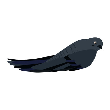 Cute cartoon swift bird. Flat vector illustration isolated on white background.