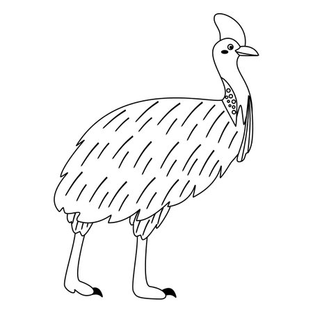 Cute cartoon cassowary bird. line art. Vector illustration isolated on white background.のイラスト素材