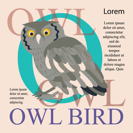 Poster, banner with owl bird and text. Poster layout design. letters. Template poster, banner, magazine mockup.のイラスト素材