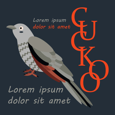Poster, banner with cuckoo bird and text. Poster layout design. letters. Template poster, banner, magazine mockup.のイラスト素材