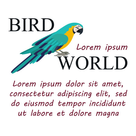 Poster, banner with parrot bird and text. Poster layout design. letters. Template poster, banner, magazine mockup.のイラスト素材