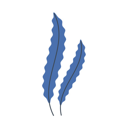 Seaweed, underwater plant in flat cartoon style. Vector illustration isolated on white background.のイラスト素材