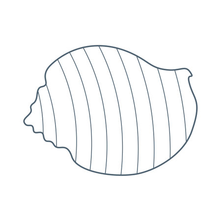 Sea shell, water inhabitant in flat cartoon style. Vector illustration isolated on white background.のイラスト素材