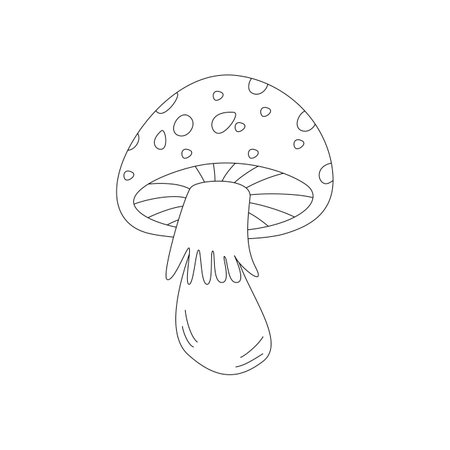 Mushroom toadstool. hello autumn. Autumn season element, icon. Flat vector illustration isolated on white background. line art.のイラスト素材