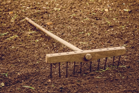 rake on field with retro colours