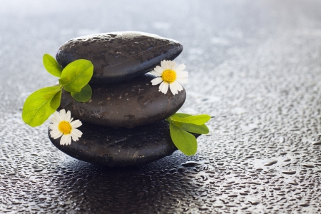 spa stones  and flowers on the black backgroundの写真素材