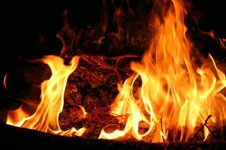 Flame Tongues in a Camp Fireの写真素材