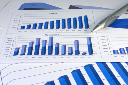 Financial management charts in a corporate blue color
