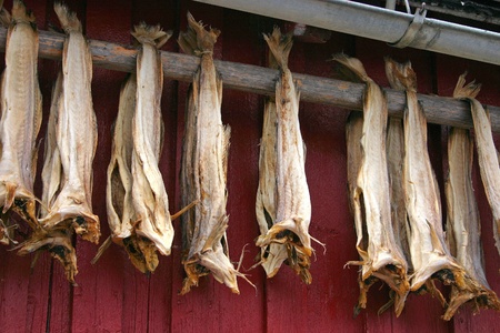 Dried fish hanging on a rorbu in the Lofoten