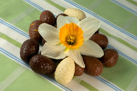 Chocolate Easter Eggs on a green tablecloth with Narcissus