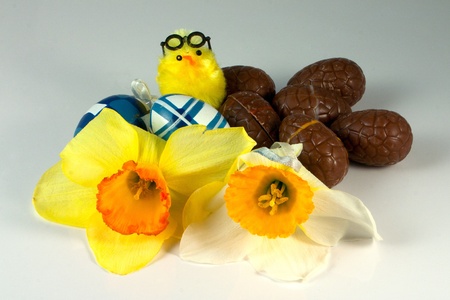 Chocolate Easter Eggs with Narcissus and small chick