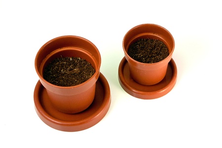 Brown pot to sow vegetables in houseの写真素材