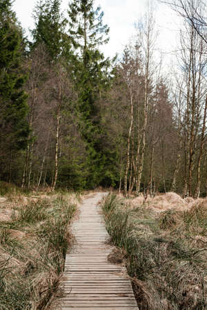 The High Fens, Hoge Venen, Belgium, Signal Van Botrangeの写真素材