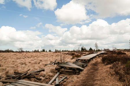 The High Fens, Hoge Venen, Belgium, Signal Van Botrangeの写真素材