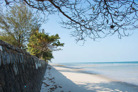 along the beachの写真素材