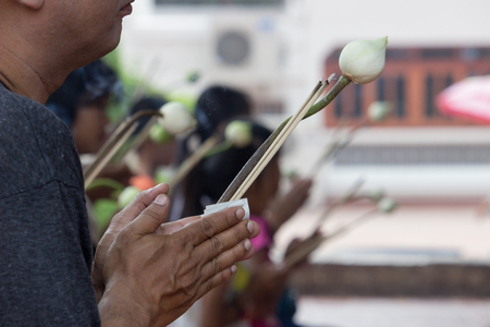 Prayer, worship, Buddhism in Thailand.の写真素材