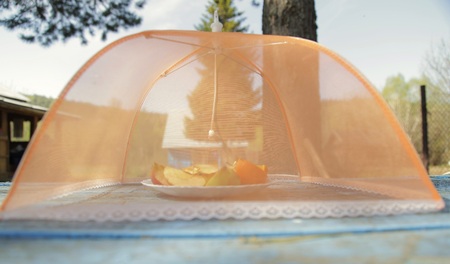 mosquito screen for fruits on the tableの写真素材