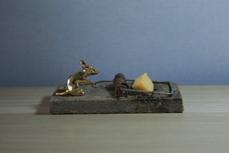 the gold mouse on the mousetrap