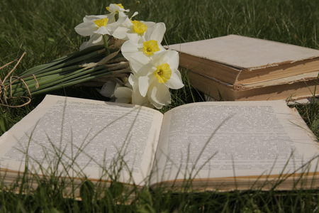 daffodils and a book on the grass in a parkの写真素材