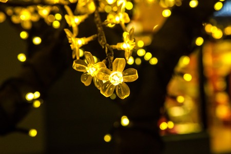 the light flower installation in a city at nightの写真素材