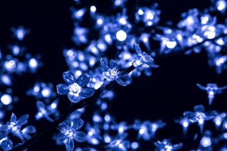 the light flower installation in a city at nightの写真素材
